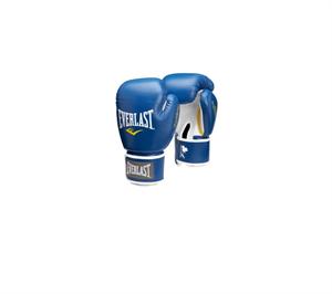 Everlast Muay Thai Gloves